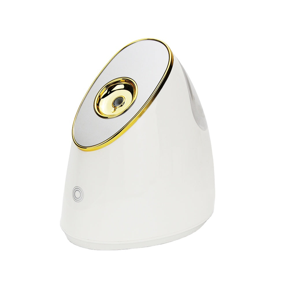 AIRE Ionic Facial Steamer